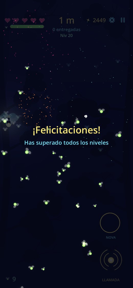 Pantalla final tras superar los 20 niveles